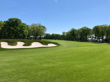 Bethpage in our Backyard