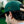 Person wearing a green cap with a logo, looking away from the camera.
