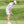 golf-polo-on-course