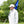 Hudson Quarter Zip