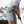 stretch-golf-short-light-1